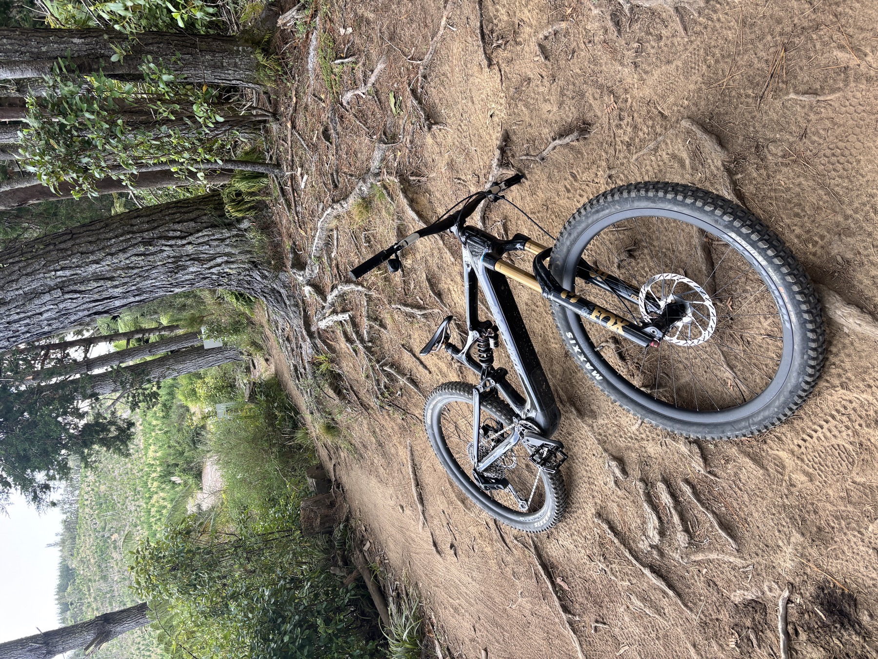 A mountain bike on a pine forest trail near Ohope